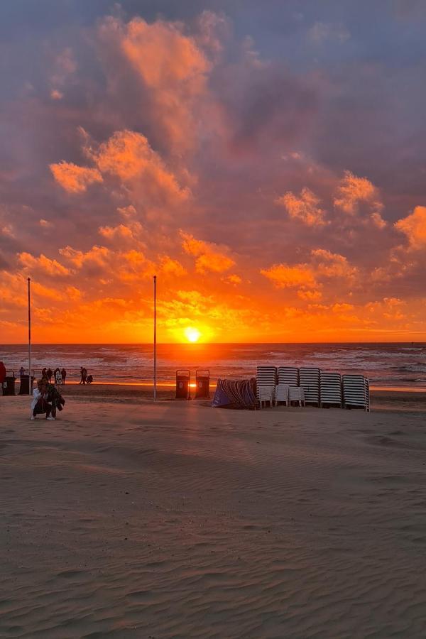 B&B Het Duinhuisje Met Jacuzzi, Gratis Parkeren, 2 Fietsen Te Leen, Airco ザントフォールト エクステリア 写真