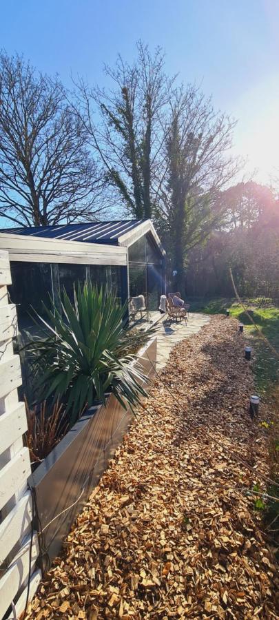 B&B Het Duinhuisje Met Jacuzzi, Gratis Parkeren, 2 Fietsen Te Leen, Airco ザントフォールト エクステリア 写真